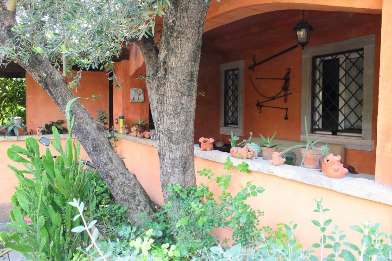 B&B Country Lemon Santa Marta Bagian luar foto
